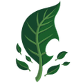 Leafpetal